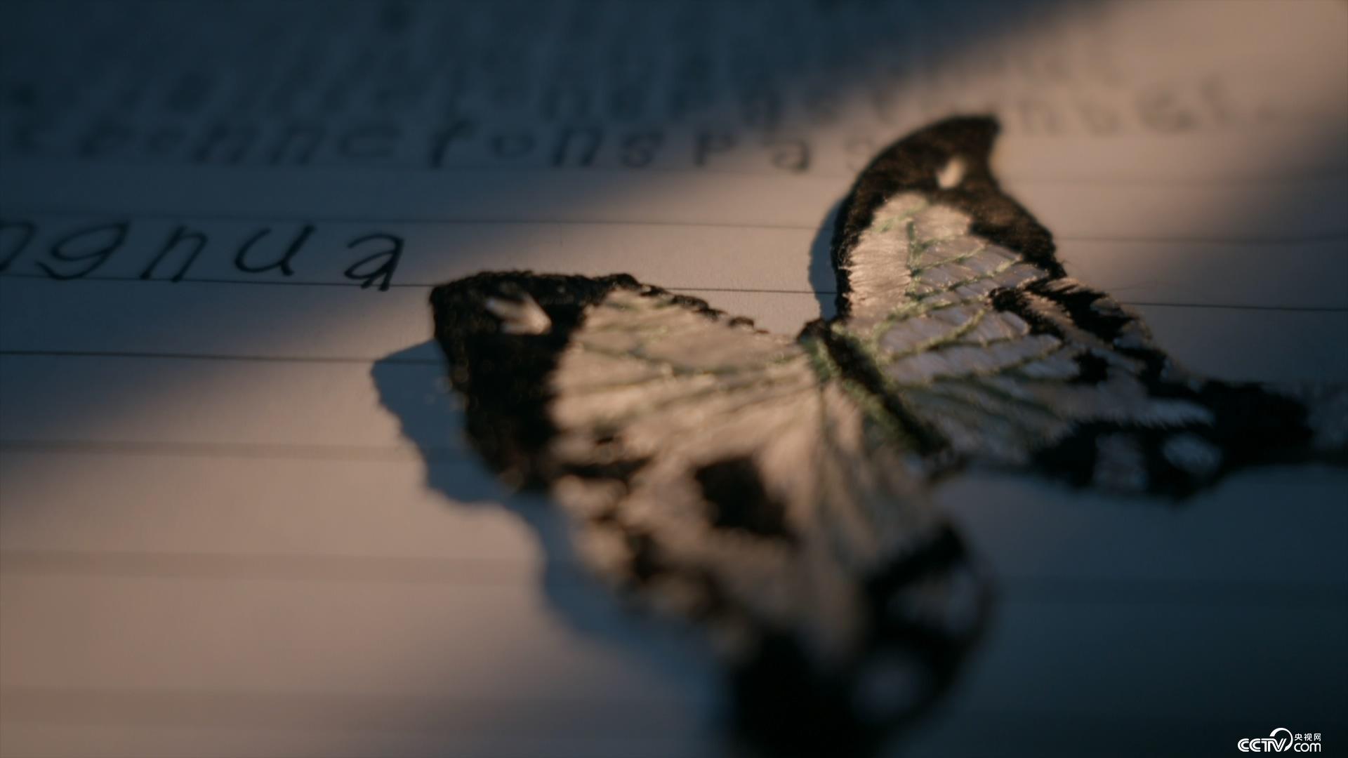 像小强一样活着 相关产品