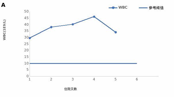 冰川鲨鱼 产品图片