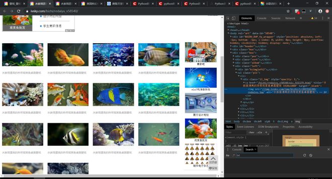 僵尸大屠杀 相关产品
