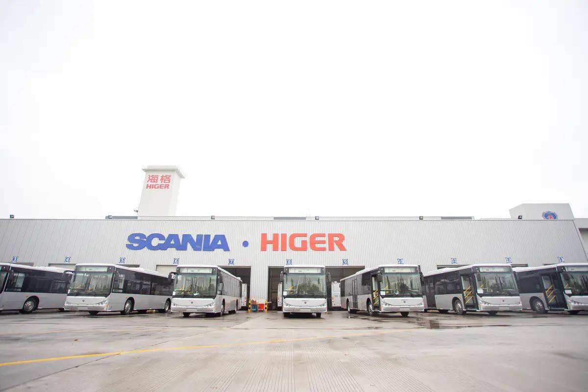 企鹅公路 相关产品