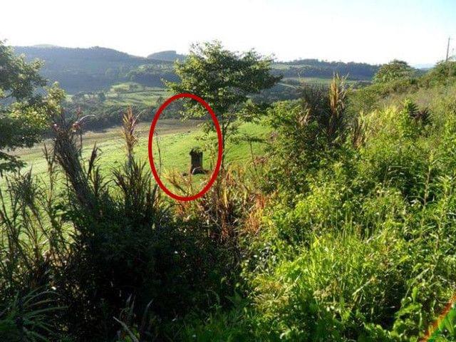 凶案清理员 产品图片