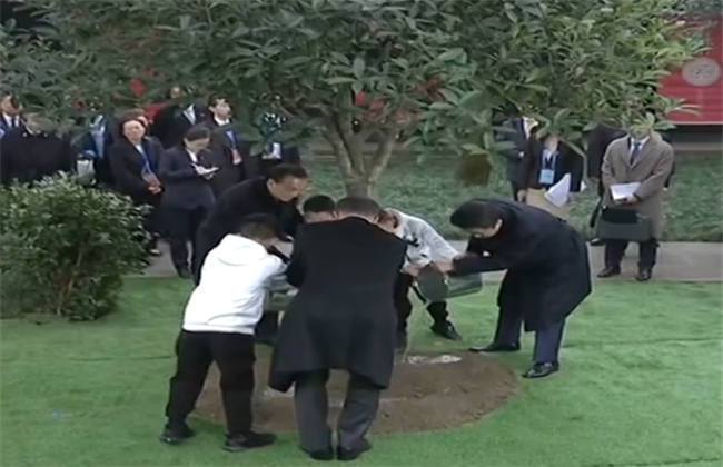 一个叫加纳的国家 产品主图