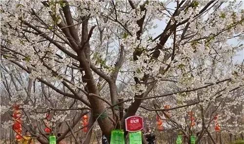 回归之路 产品主图