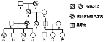 以骗制骗 相关产品