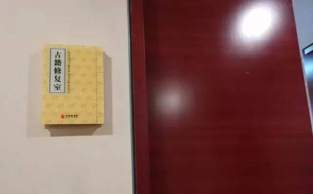 冷面虎 推荐产品