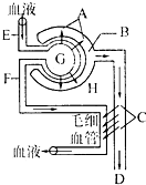偷来的女儿 相关产品