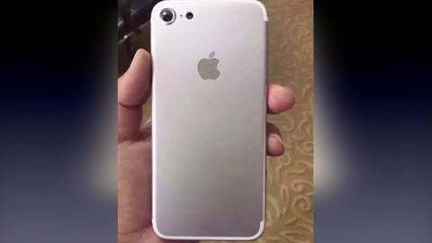 傻瓜天堂 产品主图