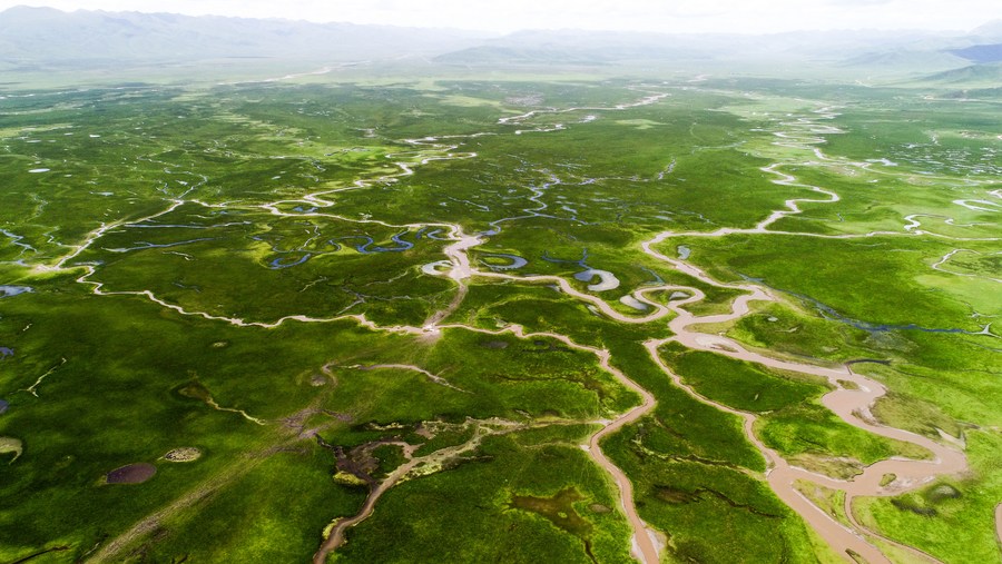 冲锋战警 产品图片