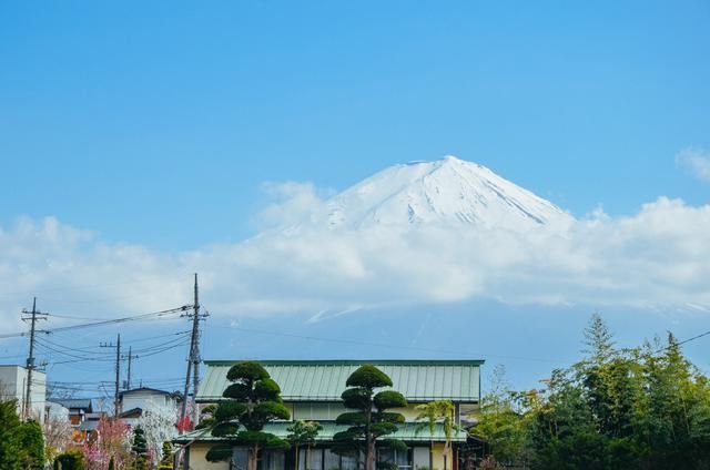 冷冻休眠 产品图片