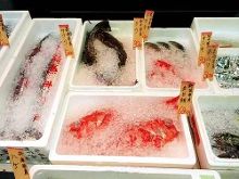 夜深沉 相关产品