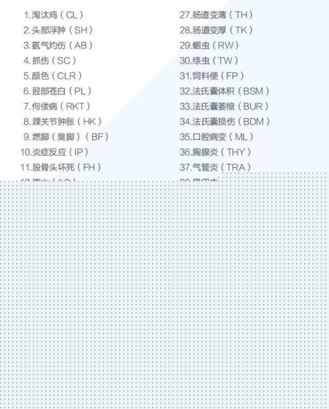 信长协奏曲 电影版