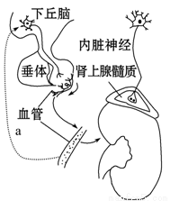 以爱之名 产品主图