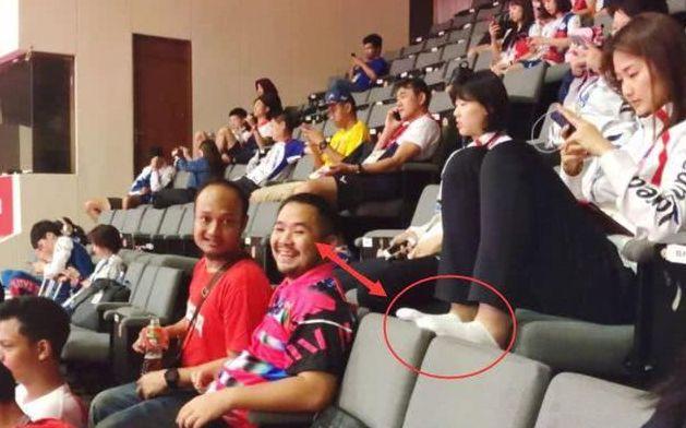 偷龙转猫 相关产品