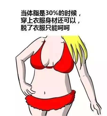 军阀 推荐产品