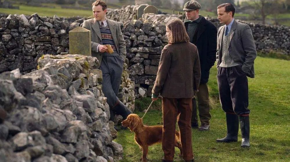 双虎屠龙 相关产品