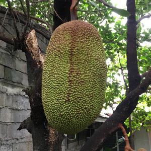 冰雪勇士3 产品图片