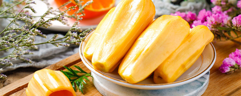 元祖观察之死无对证 相关产品