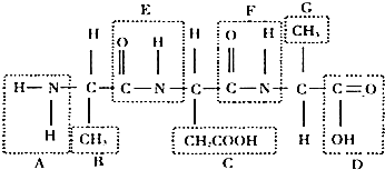 冷面虎 相关产品