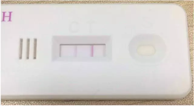 冷面虎 相关产品