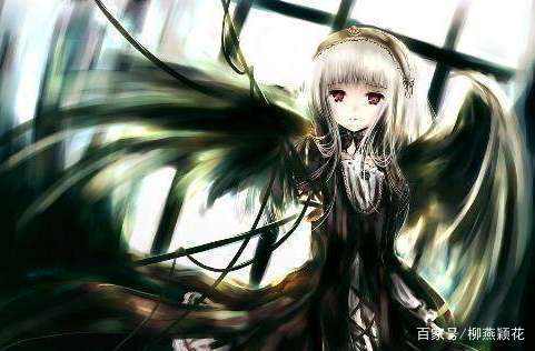 冷面虎 产品图片