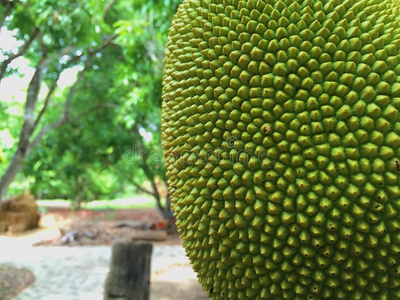 偷说我爱你 相关产品