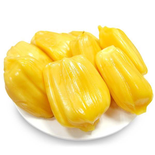 僵尸高校3 相关产品