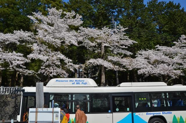 冒牌搭档（粤语） 相关产品