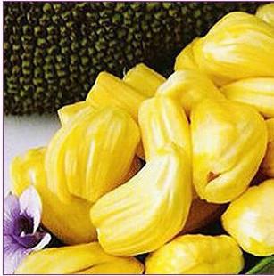 但丁密码（粤语版） 相关产品