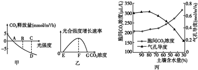伦敦一家人 相关产品