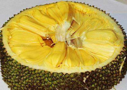 以骗制骗 产品图片