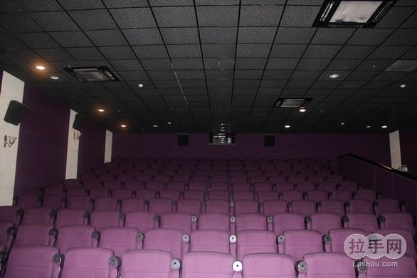 圣母院 相关产品