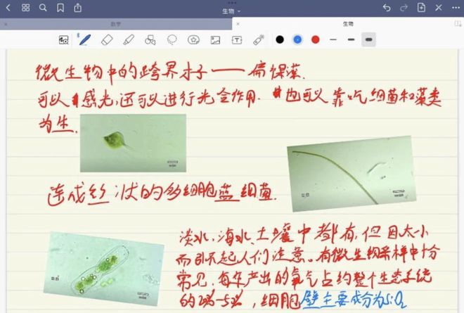 假偶天成 电影版 产品主图