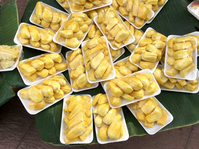 像小强一样活着 相关产品