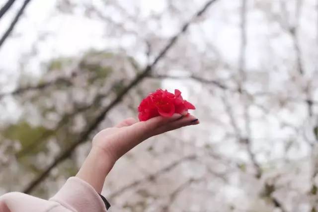 你的老鼠朋友 产品主图