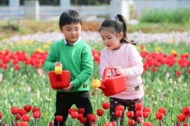 侥幸逃生的司机 相关产品