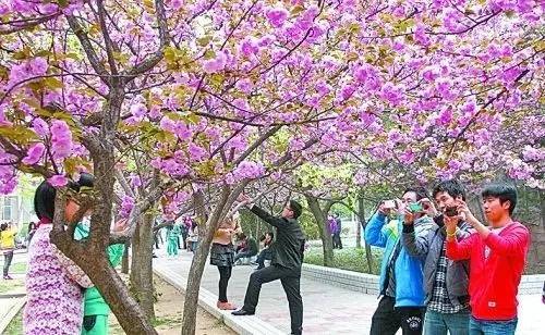 伦敦呼叫 产品图片