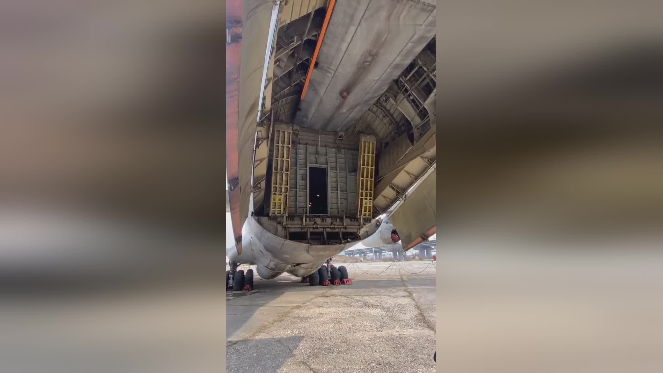 俺物语 相关产品