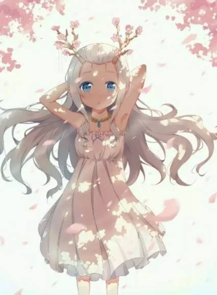 圣诞心愿 相关产品