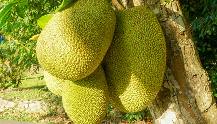 优雅的世界（上部） 相关产品