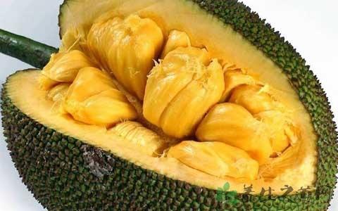 冰肤传说 相关产品