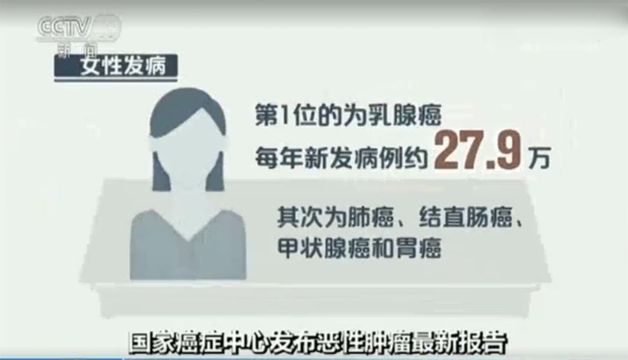 出租家人 普通话 相关产品