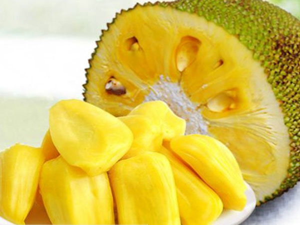 丛林之地 产品主图