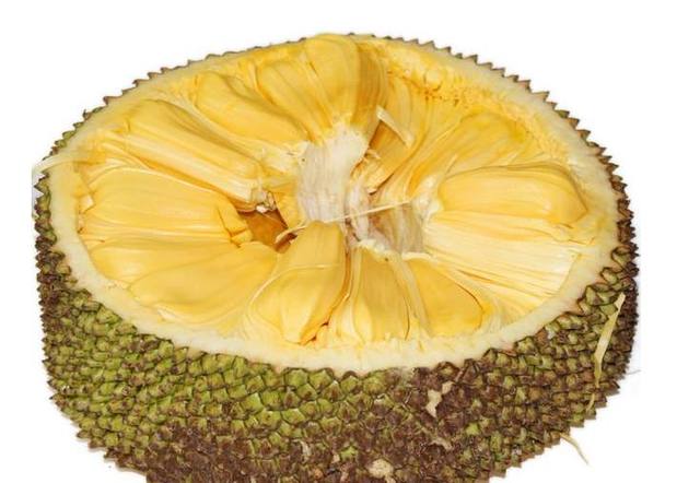 僵尸新战士 产品图片