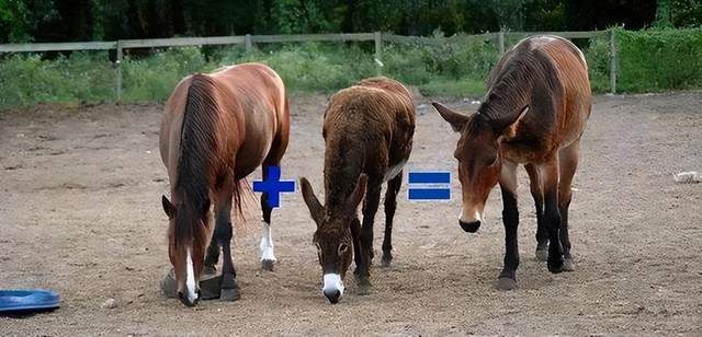 以女儿之名 相关产品