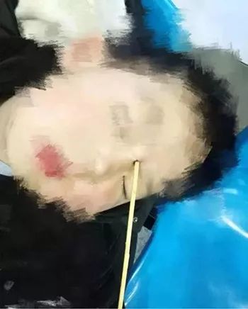 假如猫从世界上消失了 相关产品