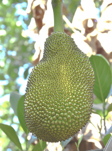 伤痛不会将我们拆散 产品图片