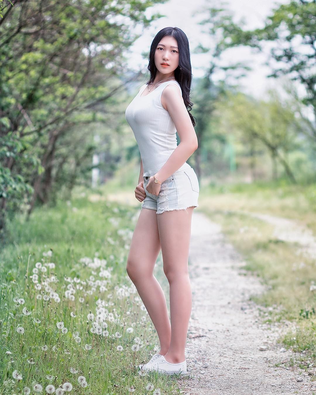 仙乐飘飘 相关产品