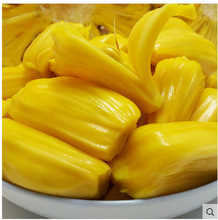 侍神令 产品图片