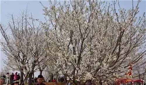 冲上云霄 相关产品