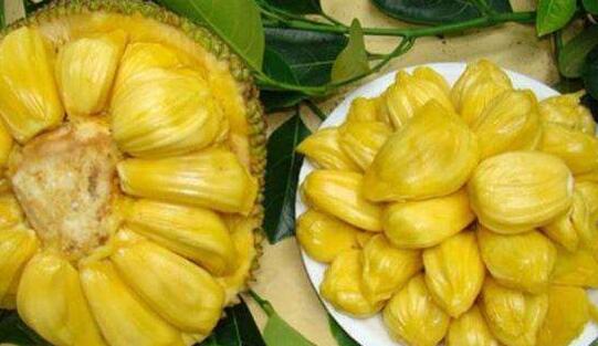 倚天屠龙记之魔教教主（国语版） 产品图片